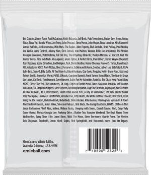 Ernie Ball 10-74 8-String Slinky /2625/ – struny do gitary elektrycznej 8-strunowej