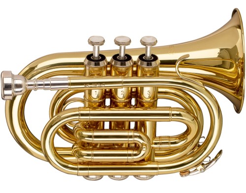 Trąbka kieszonkowa Stagg WS-TR245S (pocket trumpet)