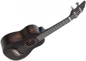 Flycat Wave W10C BK – ukulele koncertowe