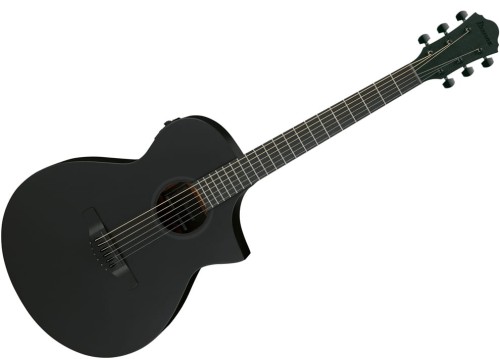 Ibanez AEWC621-BOT – gitara elektroakustyczna