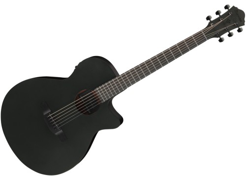 Ibanez AEG621-BOT – gitara elektroakustyczna