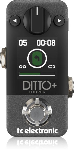 TC Electronic Ditto+ Looper – efekt gitarowy