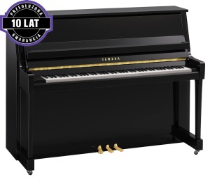 Yamaha B20 PE – pianino akustyczne